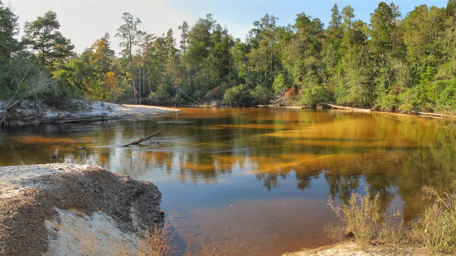 The Blackwater River winding through pine forest in Santa Rosa County near Pace