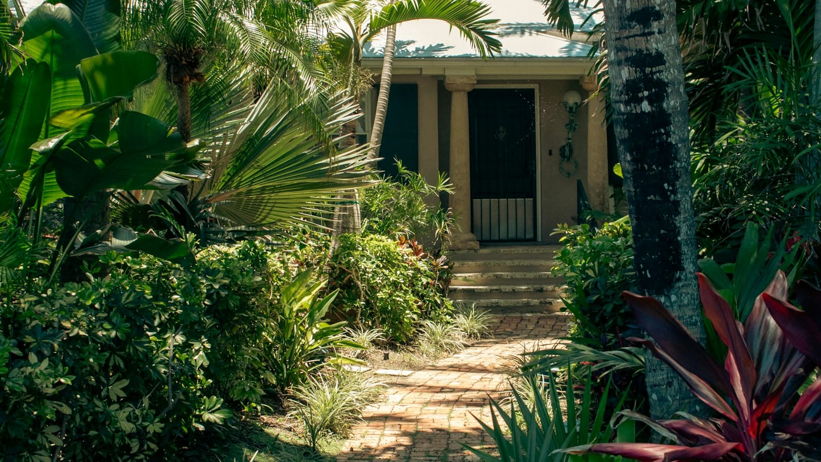 A Florida single-family home framed by tall palm trees under a bright blue sky